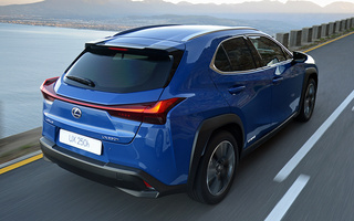 Lexus UX Hybrid (2019) ZA (#89000)