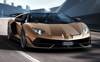 Lamborghini Aventador SVJ Roadster (2019) (#89289)