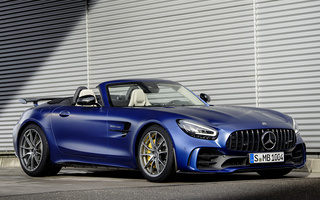 Mercedes-AMG GT R Roadster (2019) (#89300)