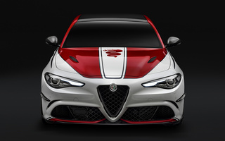 Alfa Romeo Giulia Quadrifoglio Alfa Romeo Racing (2019) (#89457)