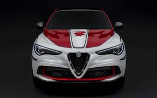 Alfa Romeo Stelvio Quadrifoglio Alfa Romeo Racing (2019) (#89465)