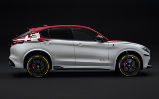 Alfa Romeo Stelvio Quadrifoglio Alfa Romeo Racing (2019) (#89466)