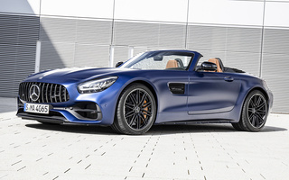 Mercedes-AMG GT C Roadster (2019) (#89989)