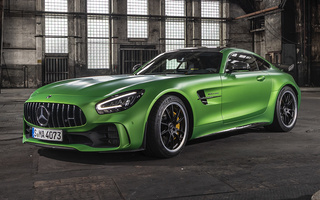 Mercedes-AMG GT R (2019) (#89992)