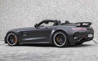 Mercedes-AMG GT R Roadster (2019) (#90001)