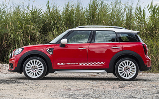 Mini Cooper S Countryman Dartmoor Edition (2019) SG (#90217)