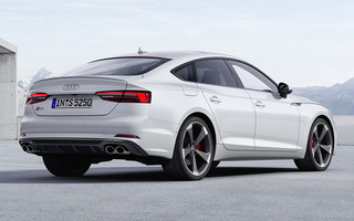 Audi S5 Sportback (2016) (#90249)