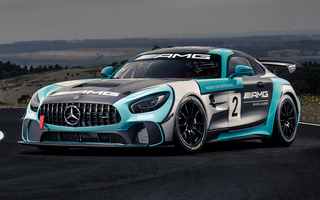 Mercedes-AMG GT4 (2017) (#90716)