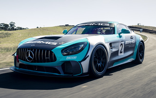 Mercedes-AMG GT4 (2017) (#90718)