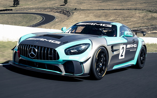 Mercedes-AMG GT4 (2017) (#90719)