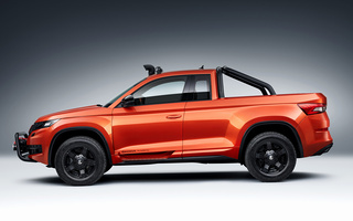 Skoda Mountiaq Concept (2019) (#91329)