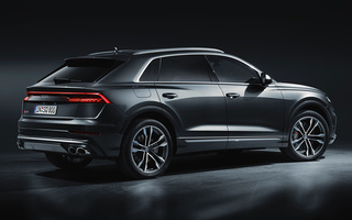 Audi SQ8 (2019) (#91748)