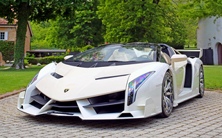 Lamborghini Veneno Roadster (2014) (#92386)