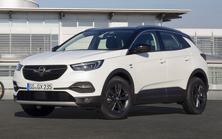 Opel Grandland X 120 Years (2018) (#94283)