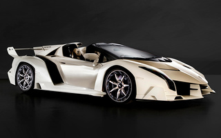 Lamborghini Veneno Roadster (2014) (#94455)