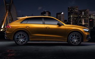 Audi Q8 S line (2019) BR (#94568)