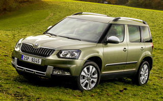 Skoda Yeti Outdoor (2013) (#9463)