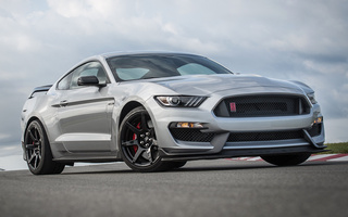 Shelby GT350R (2020) (#94877)