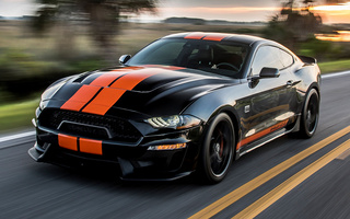Shelby GT-S (2019) (#94881)