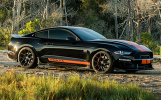 Shelby GT-S (2019) (#94885)