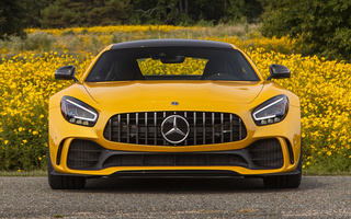 Mercedes-AMG GT R (2020) US (#95209)