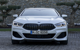 BMW 8 Series Gran Coupe M Sport (2019) (#95479)