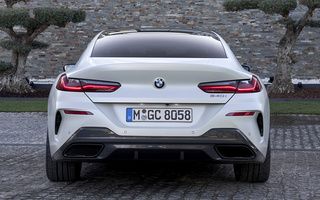 BMW 8 Series Gran Coupe M Sport (2019) (#95480)