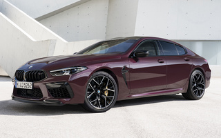BMW M8 Gran Coupe Competition (2019) (#95743)