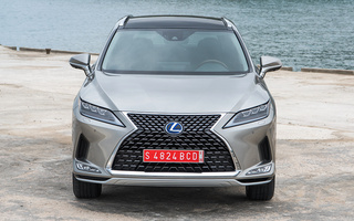 Lexus RX Hybrid (2019) (#95794)