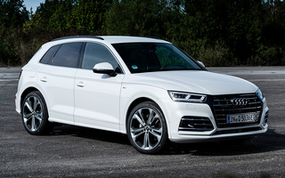 Audi Q5 Plug-In Hybrid S line (2019) (#96014)