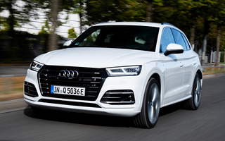 Audi Q5 Plug-In Hybrid S line (2019) (#96015)