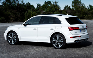 Audi Q5 Plug-In Hybrid S line (2019) (#96017)