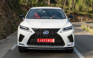 Lexus RX Hybrid F Sport (2019) (#96090)