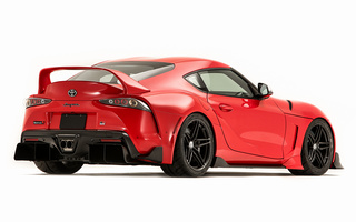 Toyota GR Supra Heritage Edition (2019) (#96425)