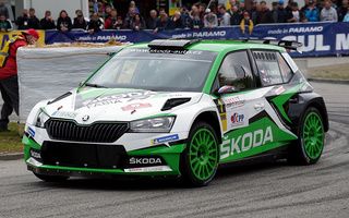 Skoda Fabia R5 Evo (2019) (#96905)