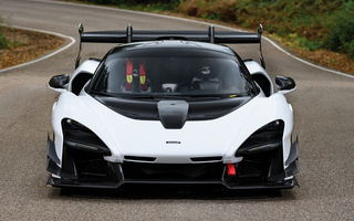 McLaren Senna GTR (2019) (#97249)