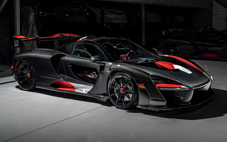 McLaren Senna XP The Master of Monaco (2020) US (#97411)