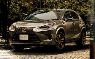 Lexus NX Bronze Edition (2020) JP (#97554)