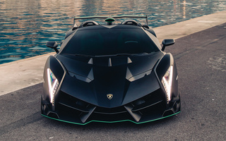 Lamborghini Veneno Roadster (2014) (#97625)