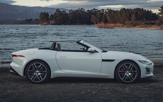 Jaguar F-Type Convertible R-Dynamic (2020) (#97829)