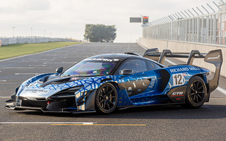 McLaren Senna GTR (2019) (#97872)