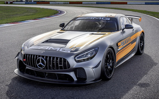 Mercedes-AMG GT4 (2020) (#98540)