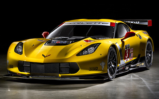 Chevrolet Corvette C7.R GT2 (2014) (#9902)