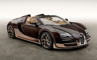 Bugatti Veyron Grand Sport Vitesse Rembrandt Bugatti (2014) (#9920)