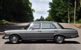 Mercedes-Benz 300 SEL (1965) (#99552)