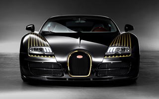 Bugatti Veyron Grand Sport Vitesse Black Bess (2014) (#9965)