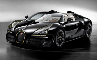 Bugatti Veyron Grand Sport Vitesse Black Bess (2014) (#9966)