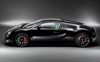 Bugatti Veyron Grand Sport Vitesse Black Bess (2014) (#9967)