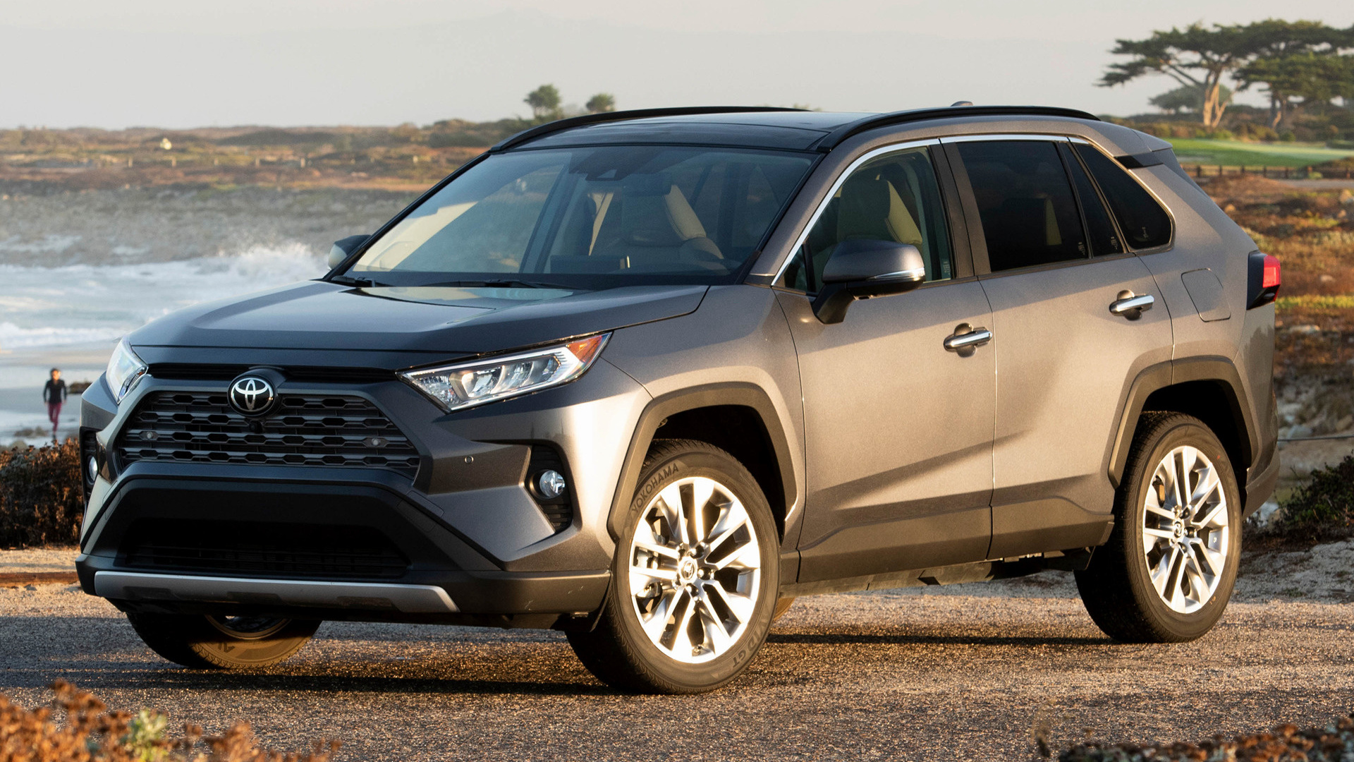 2019 Toyota RAV4 (US) Wallpapers and HD Images Car Pixel