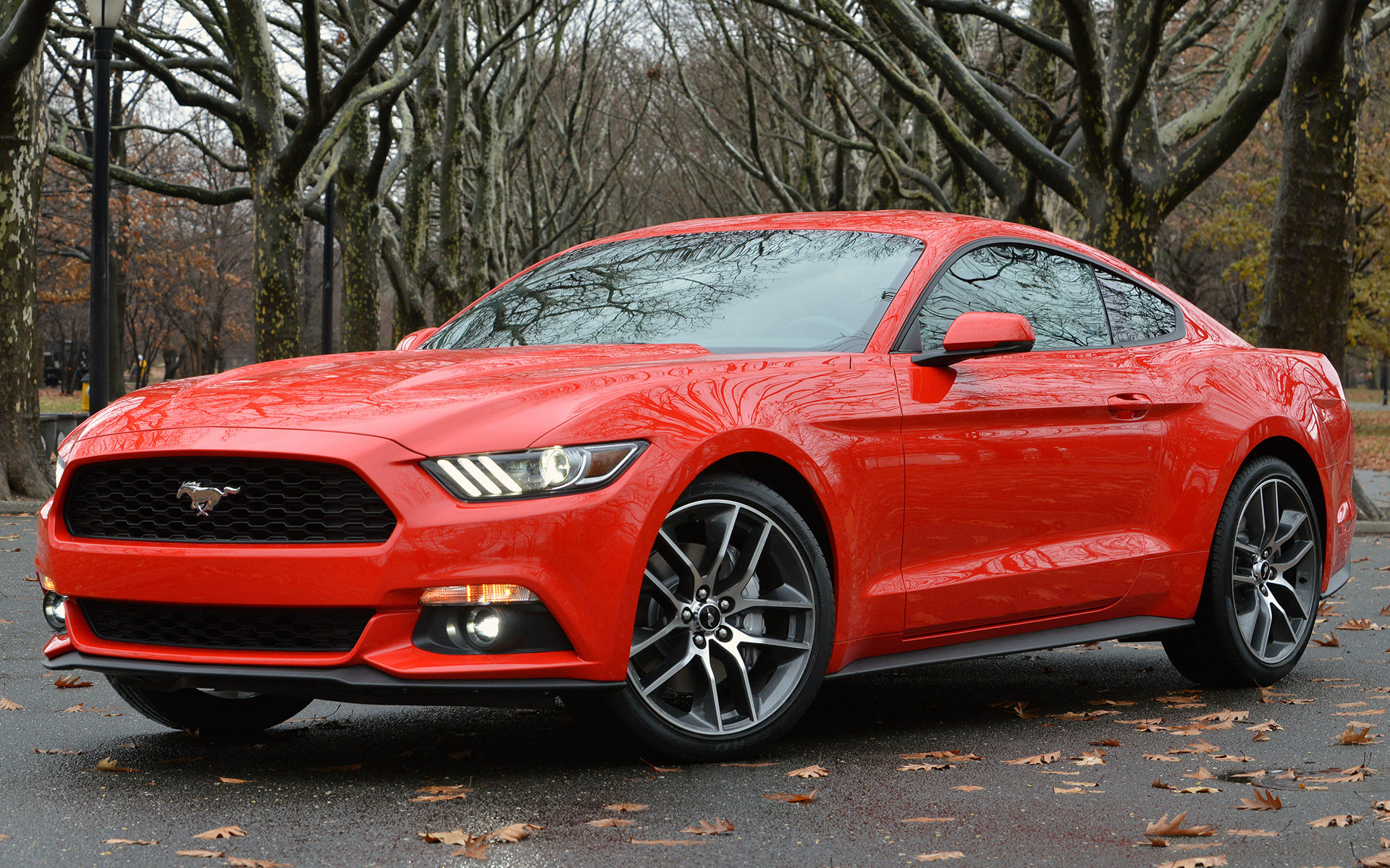 Ford Mustang (2015) цена и характеристики, фотографии...